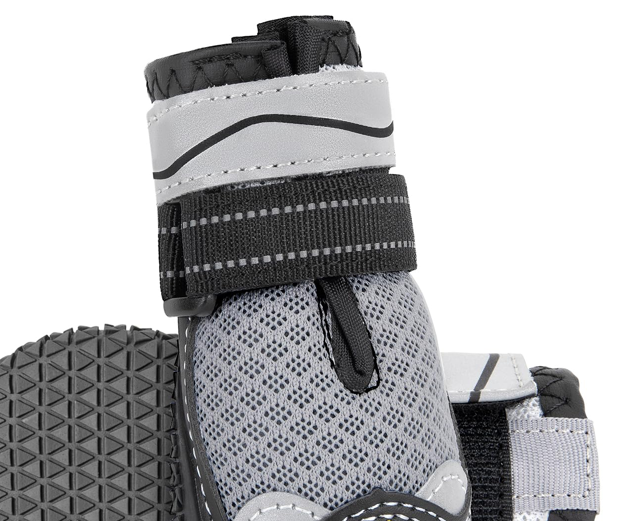 Non-Slip Paw Shoes To Help FCE recovery image